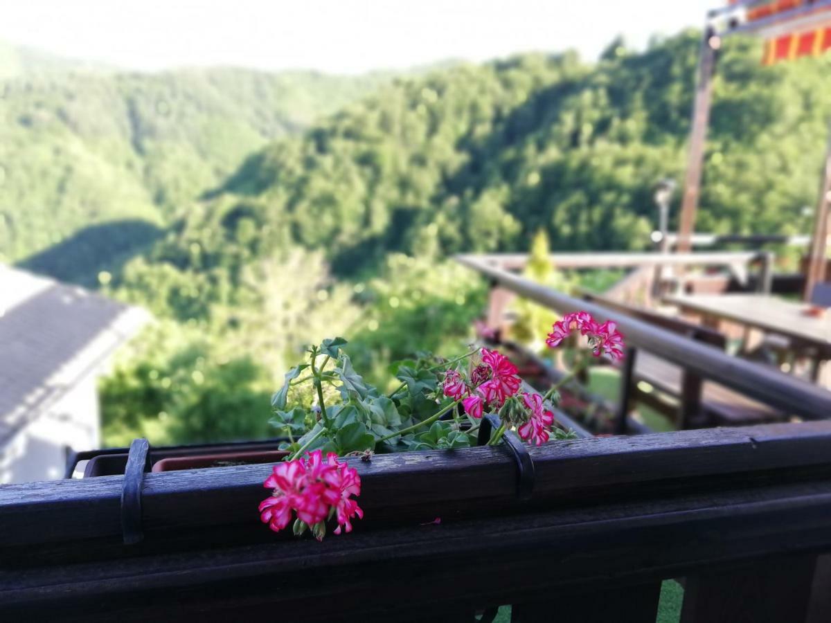 ホテル Rodopsko Katche Alamovtsi 部屋 写真
